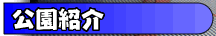 ��苛������̏Љ�