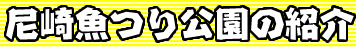 ��苛������̏Љ�