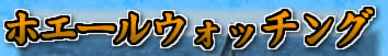 �z�G�[���E�H�b�`���O�@�~