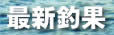 �D�މʏ��