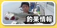 �ŐV�މ�