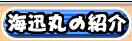 �C�v�ۂ̏Љ�