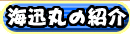 �C�v�ۂ̏Љ�