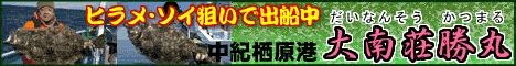 �a�̎R�@��쑑����