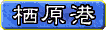 ��쑑����