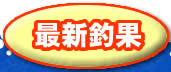 �ŐV�މ�
