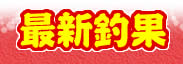 �ŐV�މ�