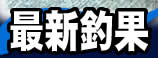 �ŐV�މ�