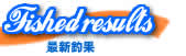 �ŐV�މ�