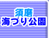�{���C�Â�����g�b�v��