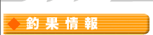 �މʏ��