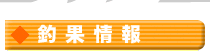 �މʏ��