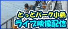 �Ƃ��ƃp�[�N�����@���C�u�f���z�M