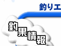 �ŐV�މ�