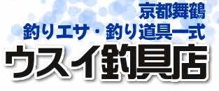 ���s���߁@�E�X�C�ދ�X
