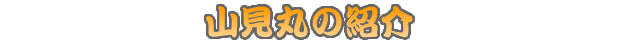 �R�g�ۂ̏Љ�