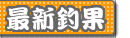 �R���ۂ̍ŐV�މ�