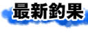 �ŐV�މ�